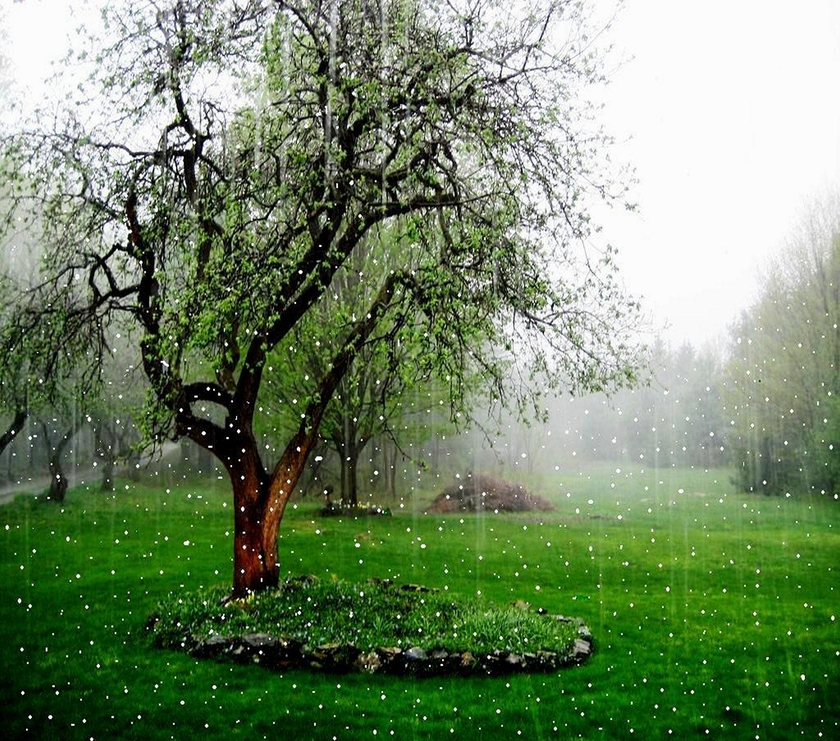 雨后晴窗电影海报